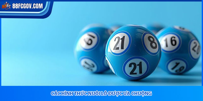 Các hình thức nuôi lô được ưa chuộng