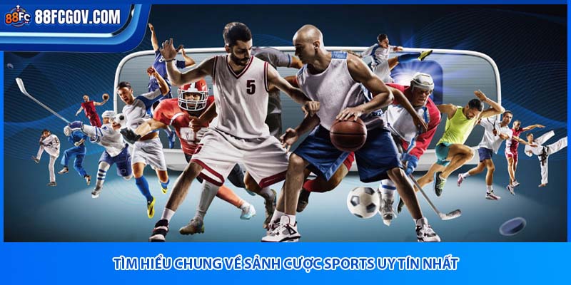 Tìm hiểu chung về sảnh cược sports uy tín nhất
